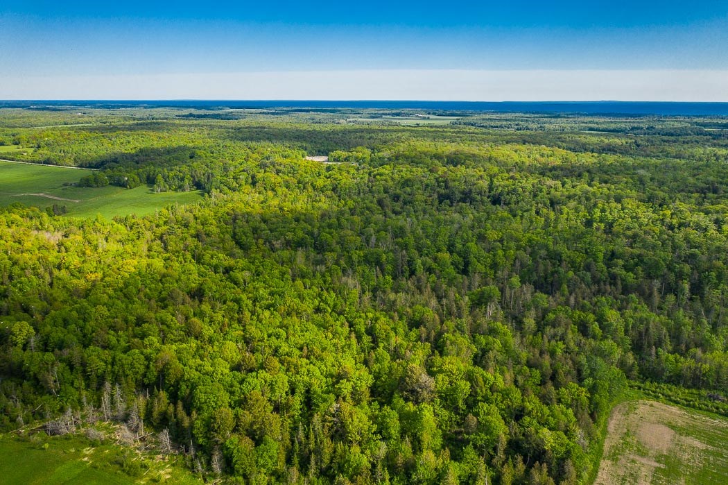 15669 Highway 17 East, Thessalon, Ontario, Canada