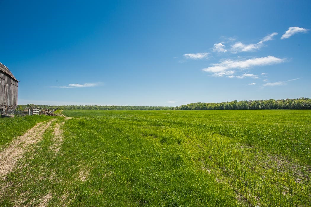 15669 Highway 17 East, Thessalon, Ontario, Canada