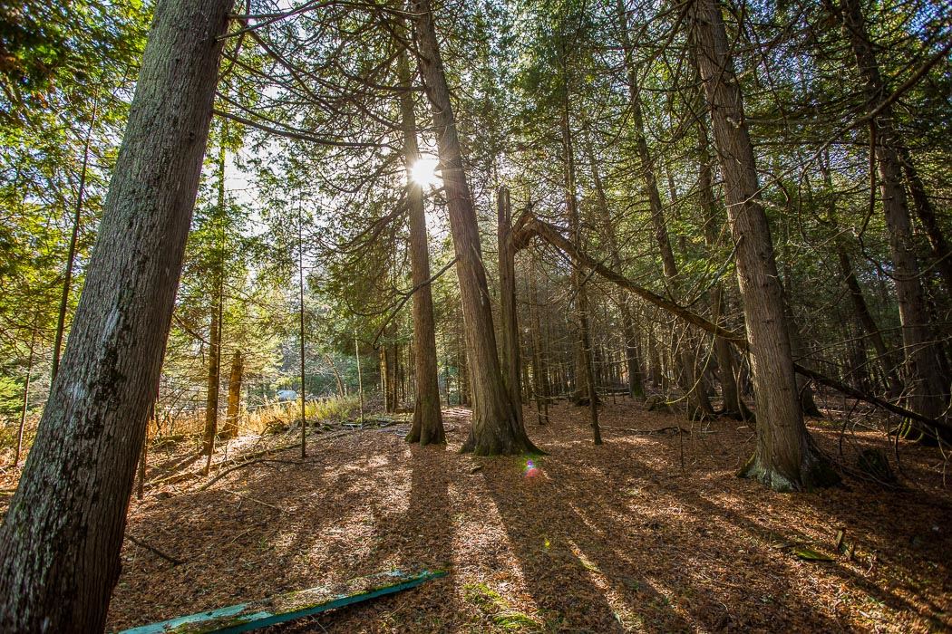 1472 Sailors Encampment Drive, St. Joseph Island Ontario, Canada