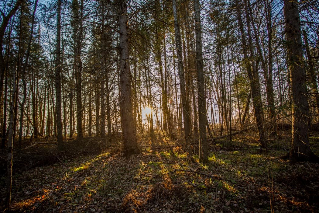 Lot 12 Maguire Drive, Richards Landing, Ontario, Canada