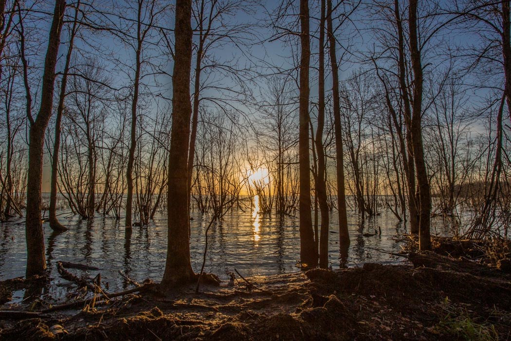 Lot 12 Maguire Drive, Richards Landing, Ontario, Canada