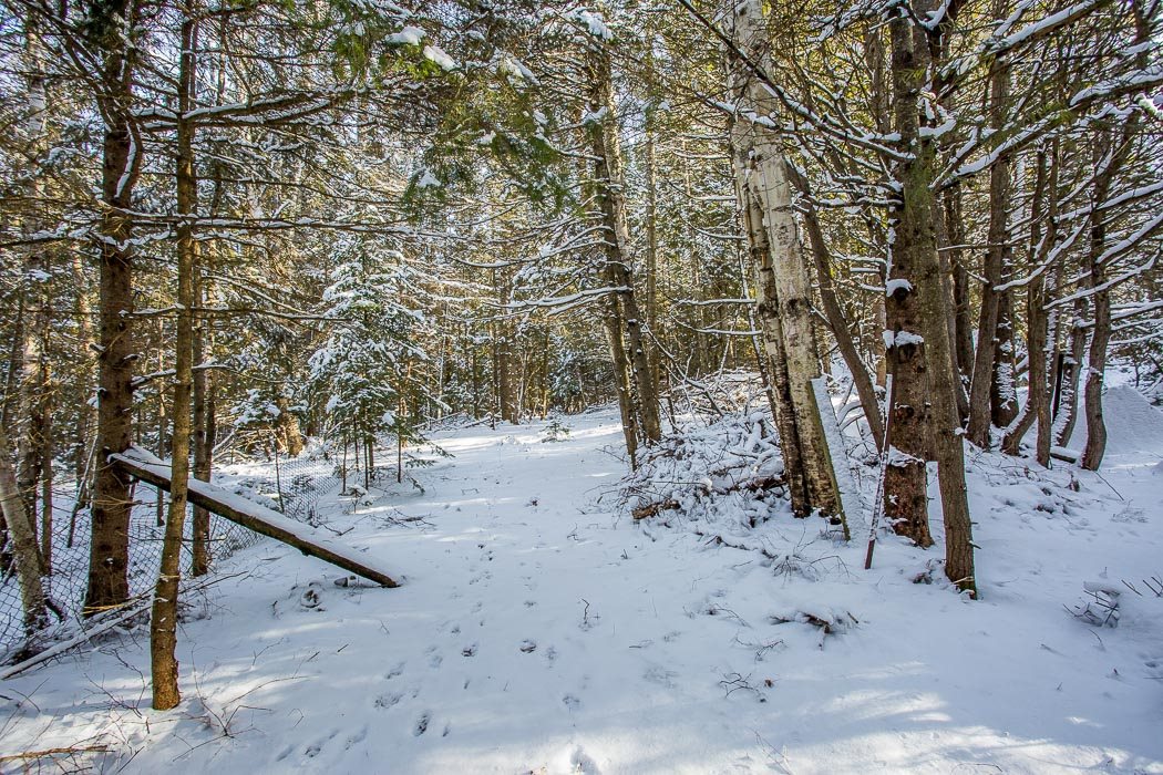 26 Cunningham Street, Bruce Mines, Ontario, Canada