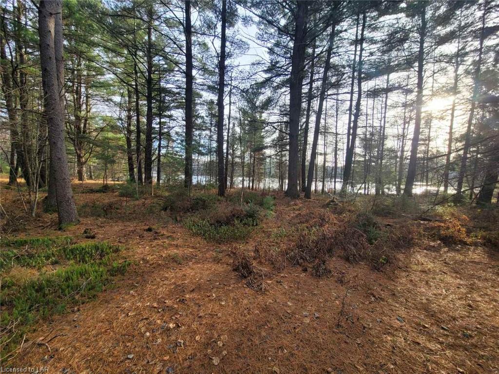 136 Hunts Road, Huntsville Ontario, Canada