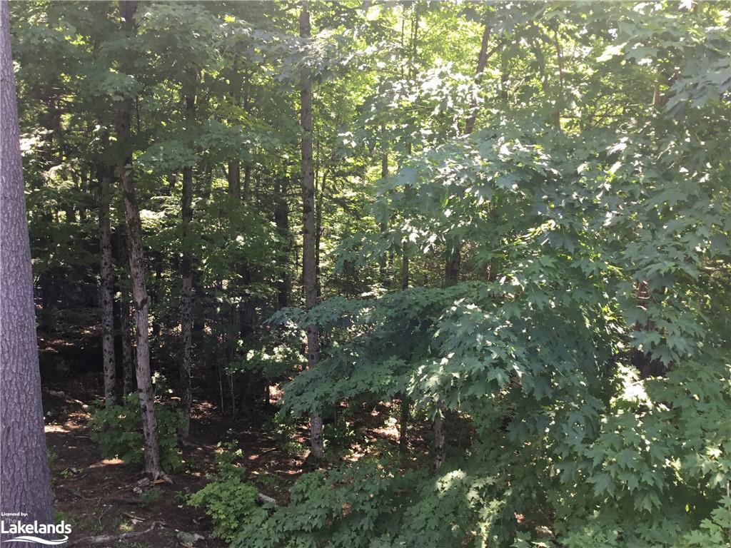 Wurm Road Unit# Lot 29, Magnetawan Ontario, Canada
