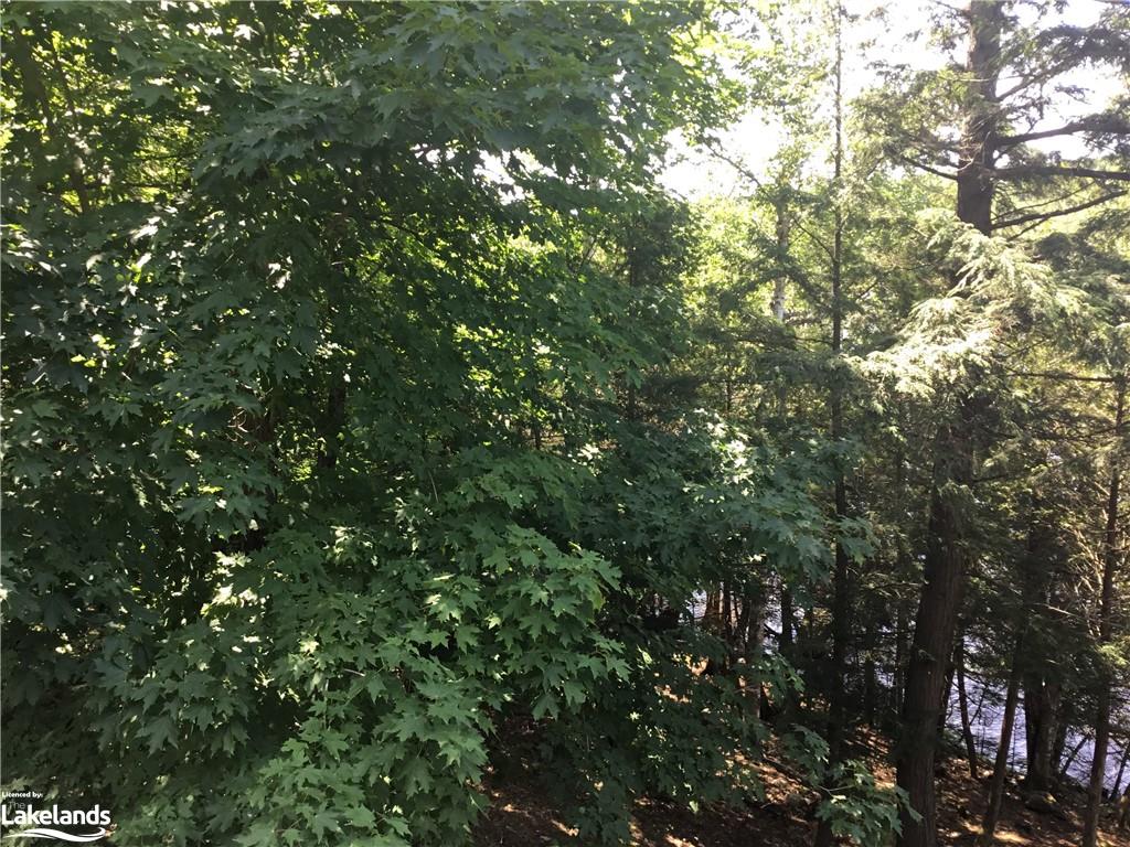 Wurm Road Unit# Lot 30, Magnetawan Ontario, Canada