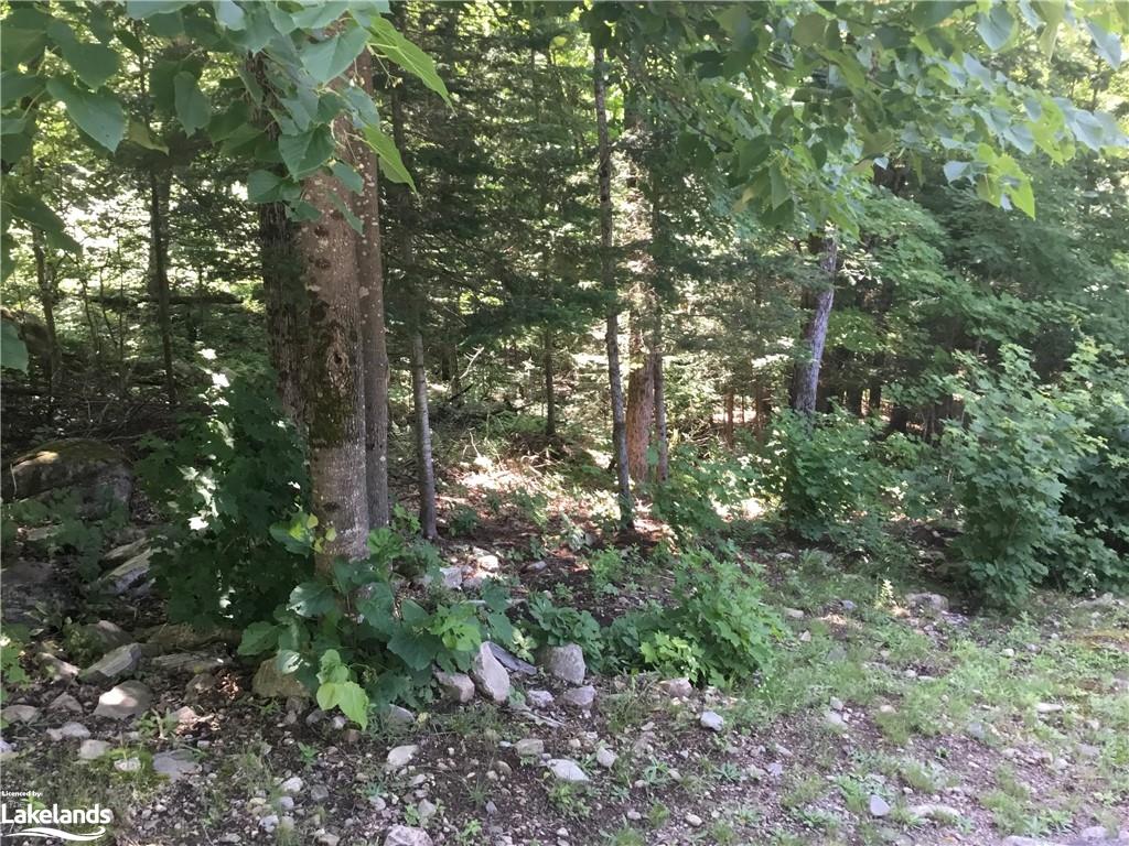 Wurm Road Unit# Lot 31, Magnetawan Ontario, Canada