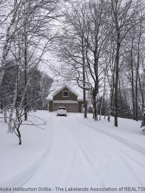 37 Horizon Rd, Burk's Falls Ontario, Canada