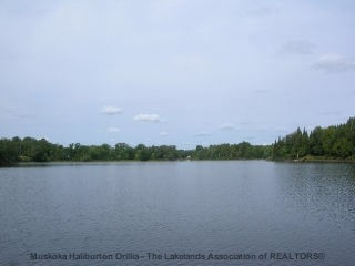 Ivy Lane, Magnetawan Ontario, Canada
