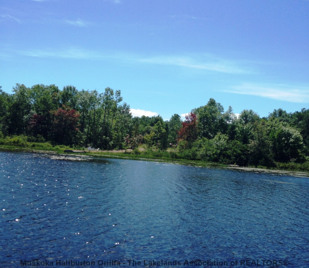 53 Stanley St, Magnetawan Ontario, Canada