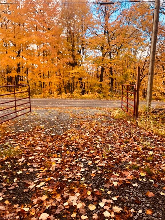1176 SO HO MISH Road, Emsdale Ontario, Canada