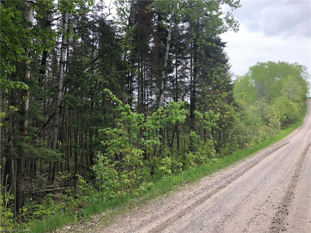 PATRICK Street, Magnetawan Ontario, Canada