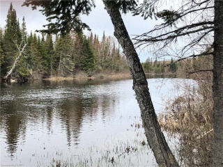 893 SPRINGHILL Road, Burk's Falls Ontario, Canada