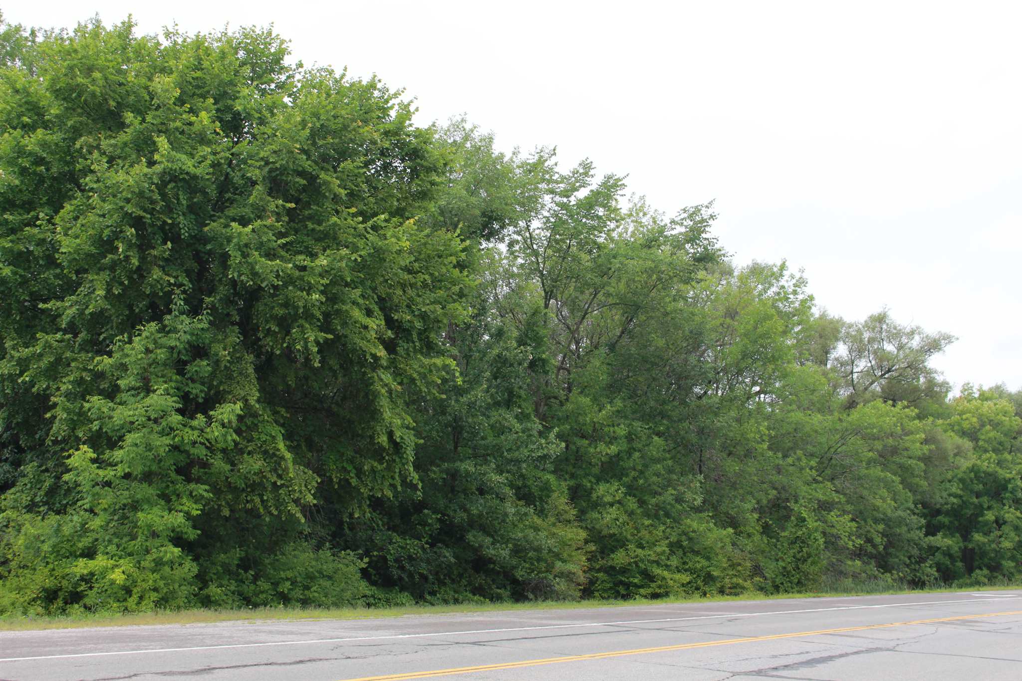 4097 Highway 38, South Frontenac Ontario, Canada