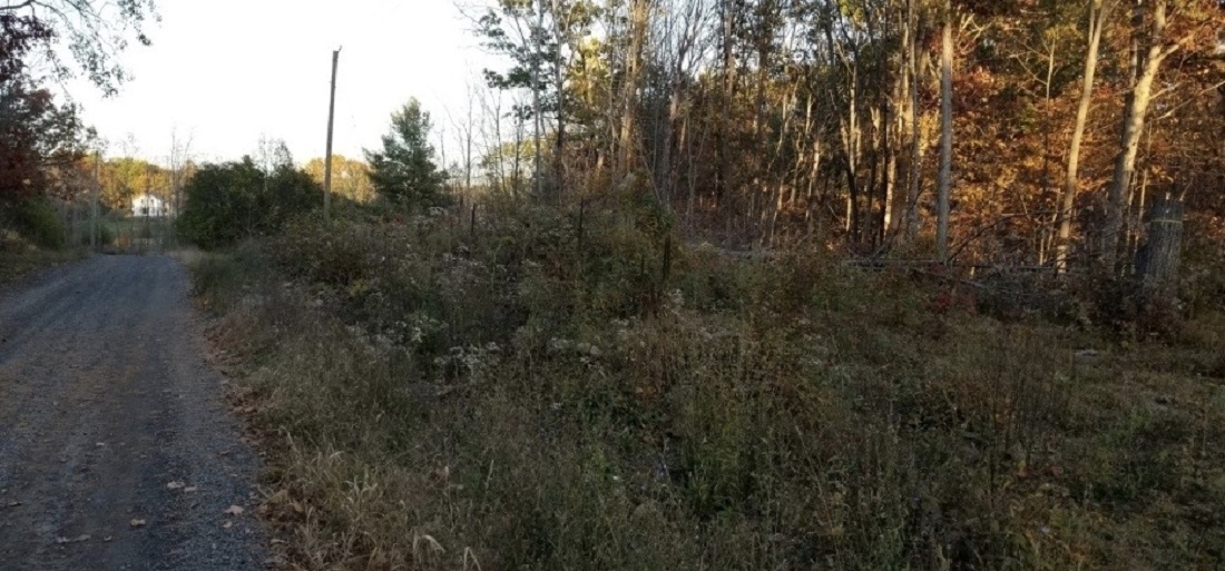 Hinchinbrooke Road, South Frontenac Ontario, Canada