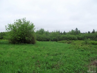 10669 Route 10, Youngs Cove New Brunswick, Canada