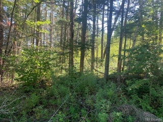LOT Lower Durham Road, Lower Durham New Brunswick, Canada