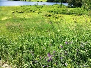 LOT 16-2 105 Route, Nackawic New Brunswick, Canada