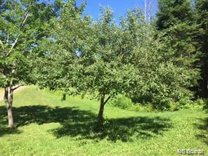 Lot 2011-1 Craig Street, Richibucto Road, New Brunswick, Canada