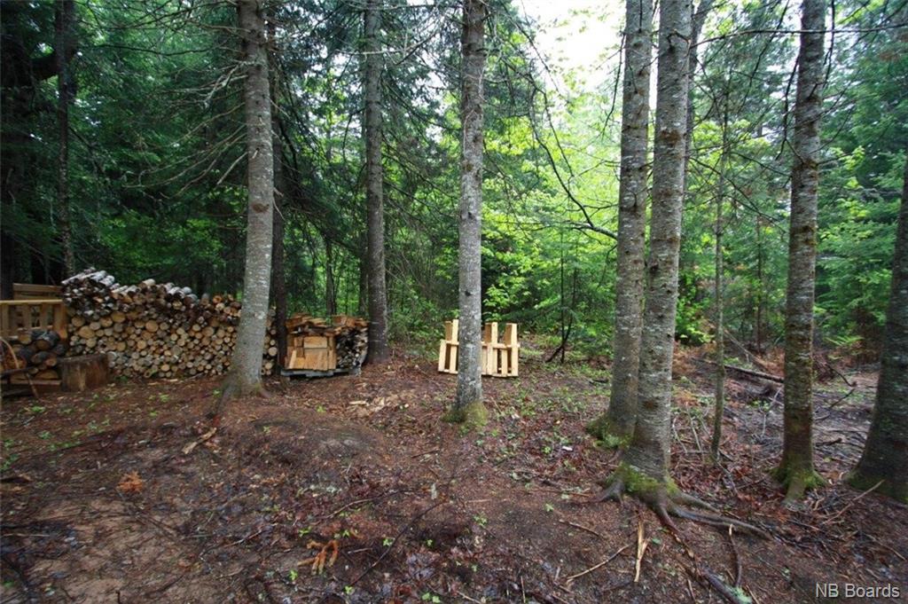 Lot 2017-1 O'Leary Road, Beaverdam, New Brunswick, Canada
