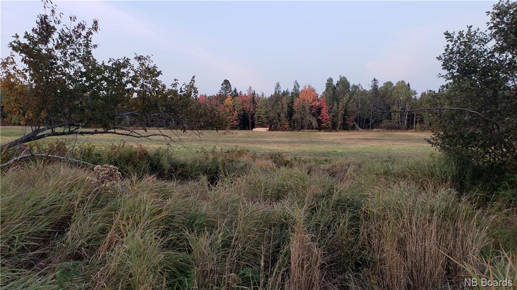 Lot 2017-1 O'Leary Road, Beaverdam, New Brunswick, Canada