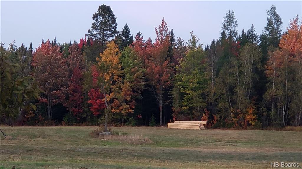 Lot 2017-1 O'Leary Road, Beaverdam, New Brunswick, Canada