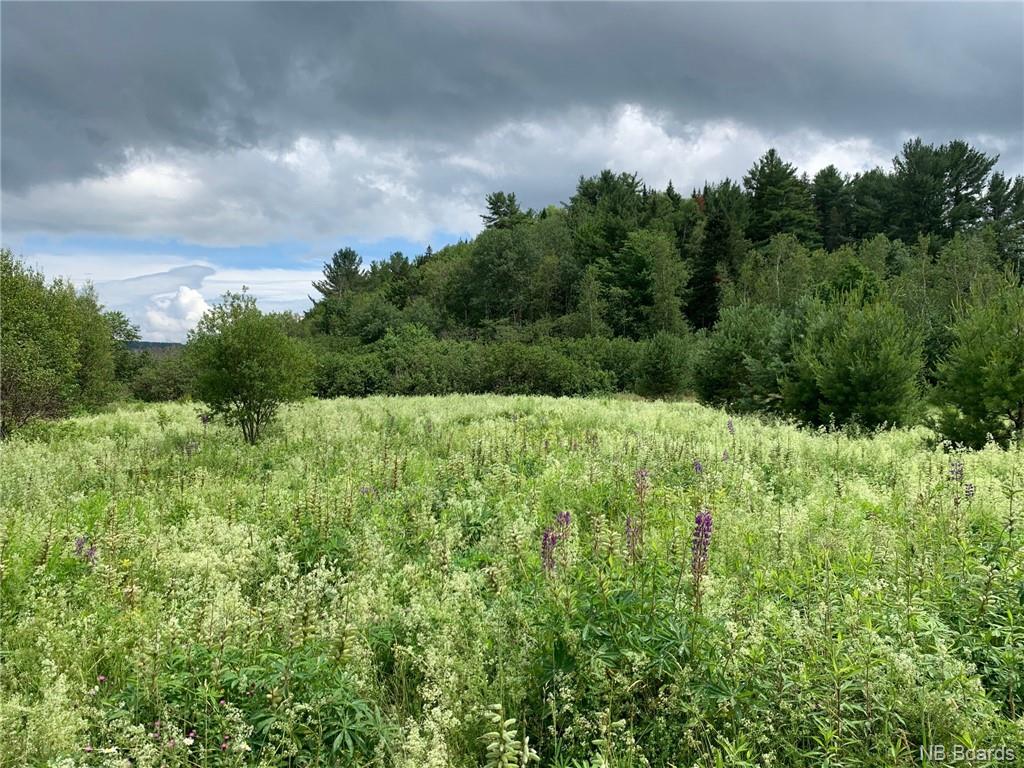 1 Waterfront Route 148, Taymouth, New Brunswick, Canada