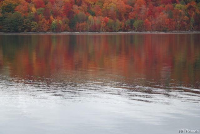 Lot 1 Route 102, Dumfries, New Brunswick, Canada