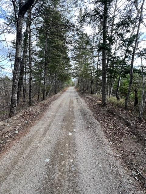 Commerical Lot Route 8, Boiestown, New Brunswick, Canada