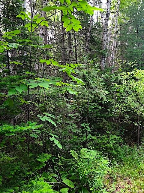 Lot 1 8 Route, Blissfield New Brunswick, Canada