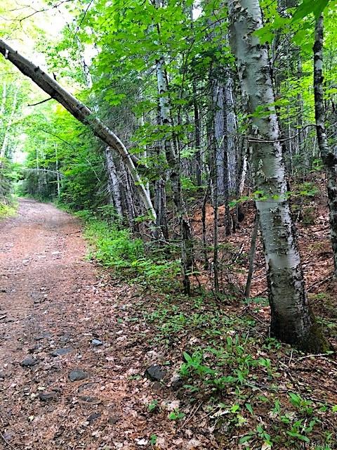 Lot 2 8 Route, Blissfield New Brunswick, Canada