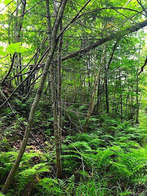 Lot 3 8 Route, Blissfield New Brunswick, Canada