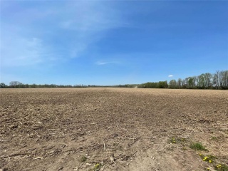 1273 Ramara Rd, Ramara Ontario, Canada
