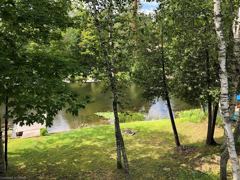 2390 JULIA SHORE Road E, Lakefield Ontario, Canada