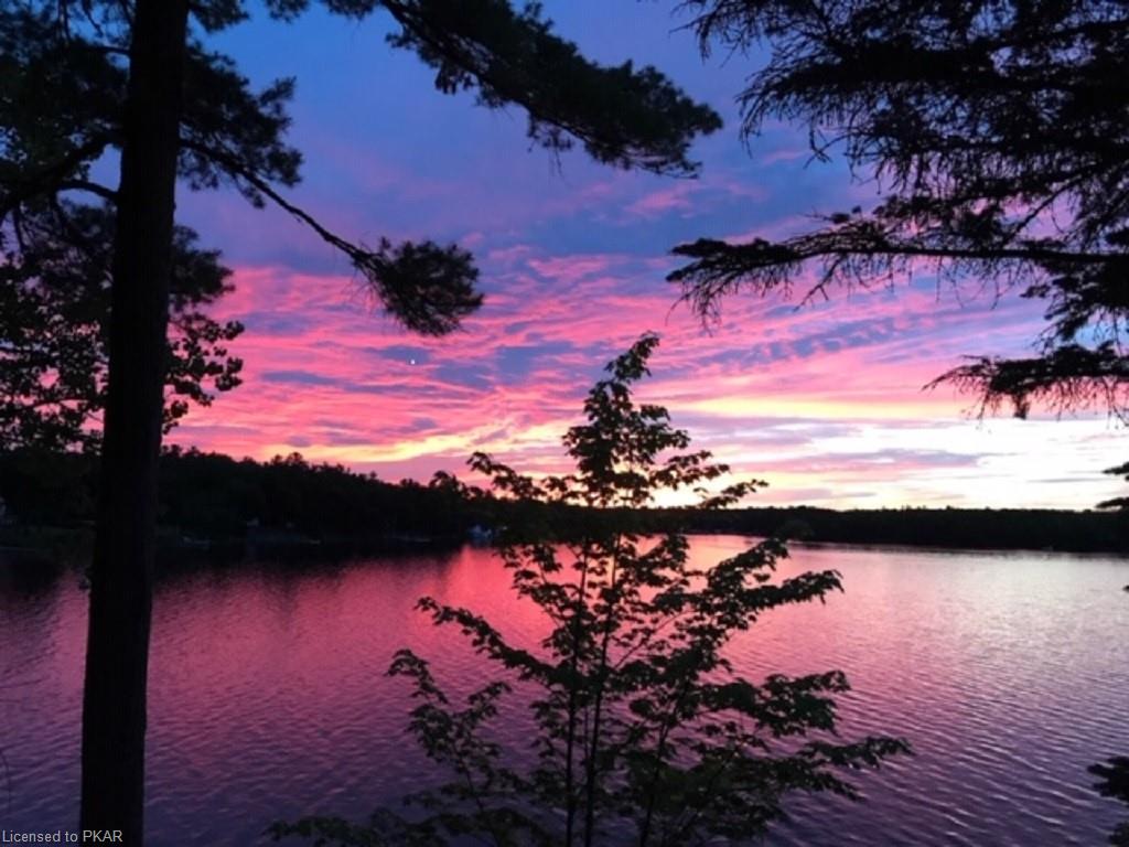 504 RISHOR Avenue, Lakefield Ontario, Canada