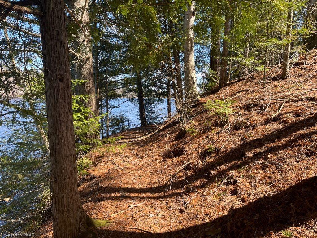 1710 SOUTH BAYSHORE RD W. Road, Douro-Dummer Township, Ontario, Canada