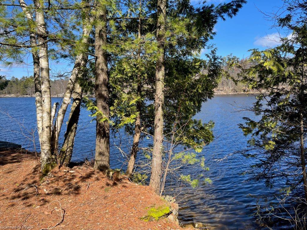 1710 SOUTH BAYSHORE RD W. Road, Douro-Dummer Township, Ontario, Canada