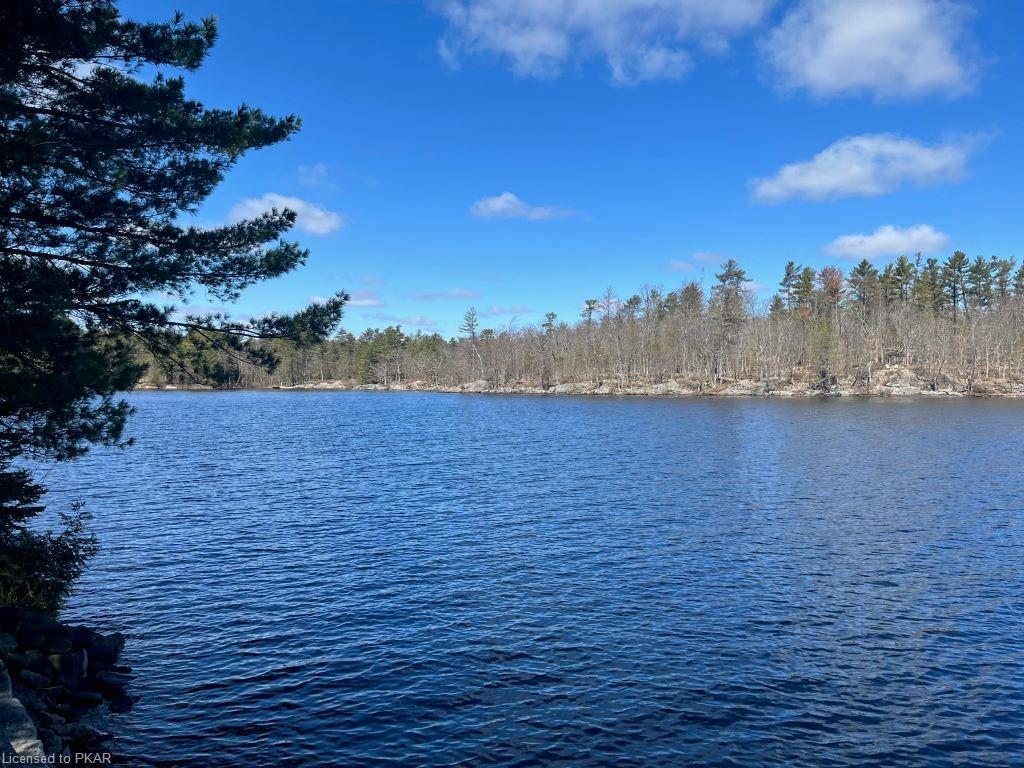 1710 SOUTH BAYSHORE RD W. Road, Douro-Dummer Township, Ontario, Canada
