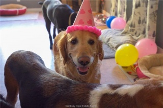 3710 Dill Lake Road Unit# 17, Sudbury Ontario