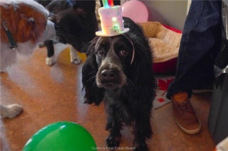 3710 Dill Lake Road Unit# 17, Sudbury Ontario