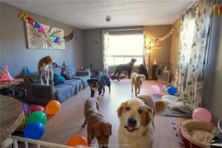 3710 Dill Lake Road Unit# 17, Sudbury Ontario