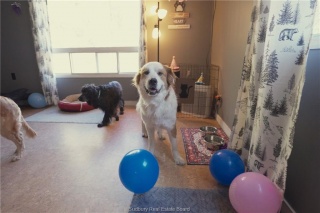 3710 Dill Lake Road Unit# 17, Sudbury Ontario