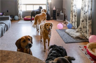 3710 Dill Lake Road Unit# 17, Sudbury Ontario