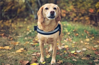 3710 Dill Lake Road Unit# 17, Sudbury Ontario