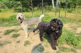 3710 Dill Lake Road Unit# 17, Sudbury Ontario