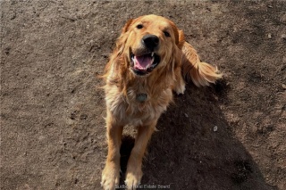 3710 Dill Lake Road Unit# 17, Sudbury Ontario