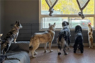 3710 Dill Lake Road Unit# 17, Sudbury Ontario