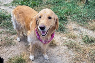 3710 Dill Lake Road Unit# 17, Sudbury Ontario