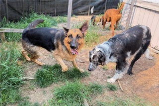 3710 Dill Lake Road Unit# 17, Sudbury Ontario