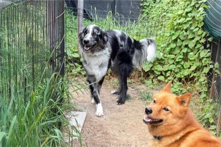 3710 Dill Lake Road Unit# 17, Sudbury Ontario