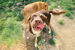 3710 Dill Lake Road Unit# 17, Sudbury Ontario